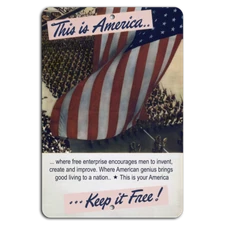 America: Embrace Free Enterprise, Keep It Free!