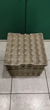Lot of 30 Large Egg Holder Cartons