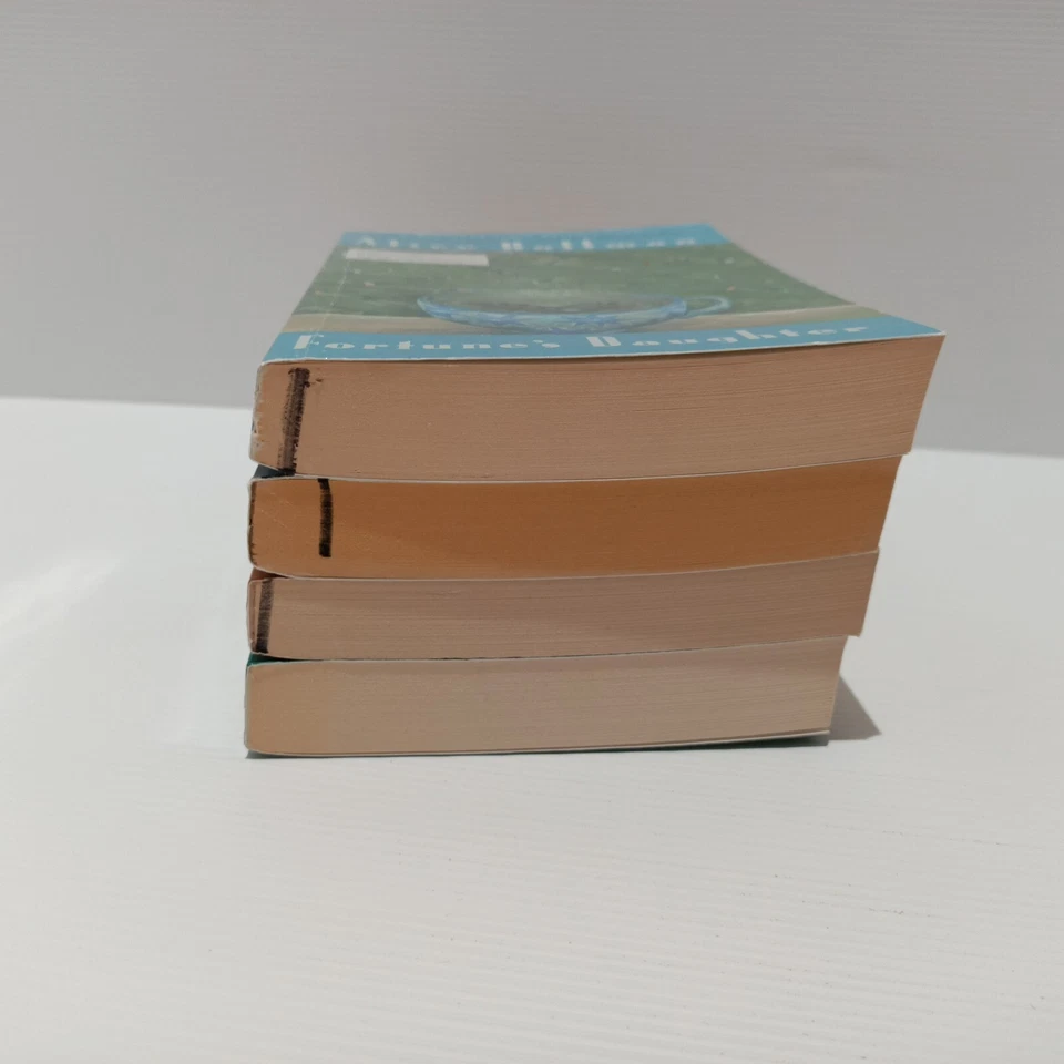 Alice Hoffman Books X 4 At Risk Fortune's Daughter White Horses Angels Landing - image 3 of 4