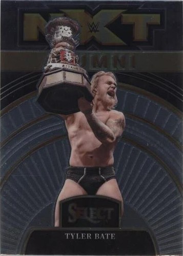 2024 Panini Select WWE Eve Torres Zebra Prizm #21 PSA 9 Concourse