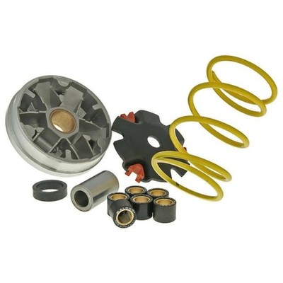Variator Variomatik Malossi Multivar für Honda Dio SP & Vision 50, beste Qualitä