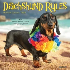 Dachshund Rules 2026 7 X 7 Mini Wall Calendar (Bookbook - Detail Unspecified)