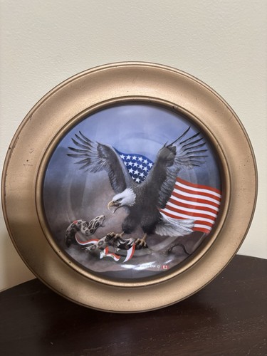Wall PLATE DESERT STORM DAVID JEAN AMERICA eagle Snake FIGHT FOR FREEDOM Patriot