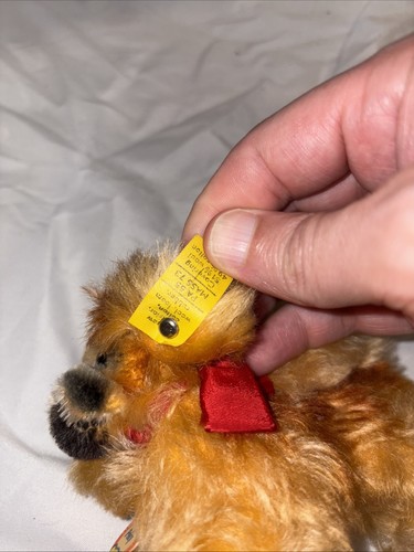 Vintage STEIFF Peky Plush 4" Long Pekingese Dog Made Of Mohair Original Tags - Picture 4 of 9