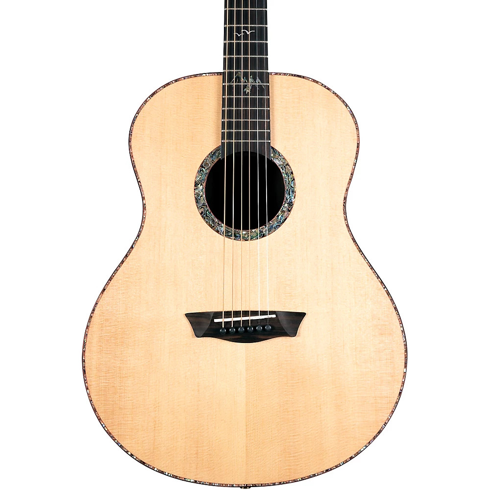 Washburn Bella Tono Elegante S24S Studio Acoustic Guitar Gloss Natural 93090₽