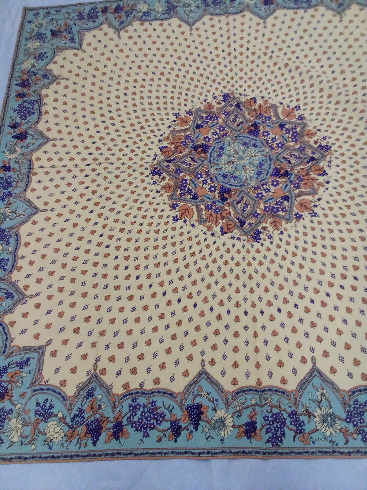 Picture 4 of 11