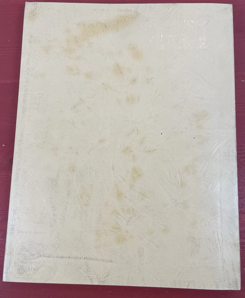 Techniques of Athletic Training Second Edition Gene & Roland Logan VTG PB 1959 Foto 2 de 4