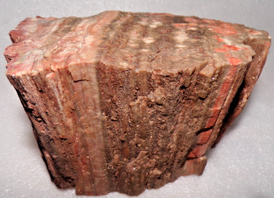 7 Lb 3.3 oz Petrified Wood Chinle Formation Northern AZ Hard Rough