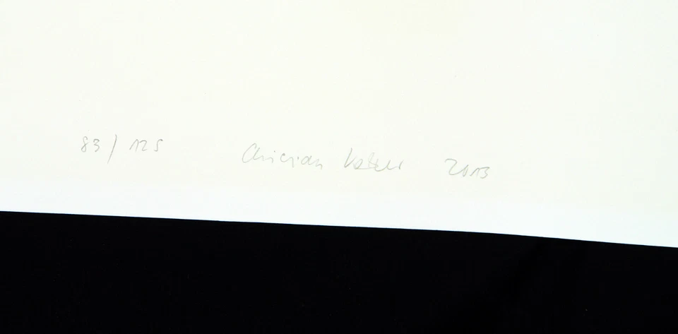 "I V N N", 2013. GROSSE Lithographie Christian VETTER (*1970 SUI), handsigniert - Bild 2 von 2