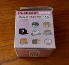 RARE Pusheen Blind Box Laptop New With Box Cat Collectable GUND — photo 2