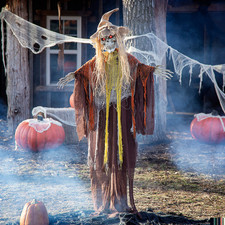 6 Ft. Standing Animated Skeletal Reaper Halloween Decoration - Morris Costumes