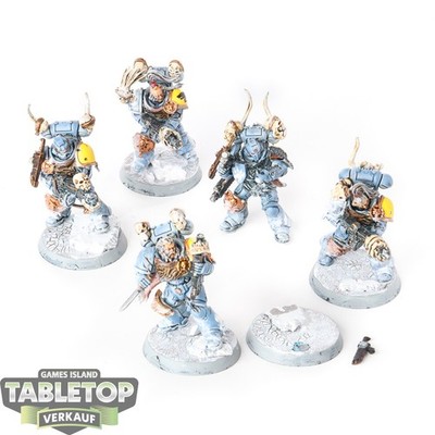Space Wolves - 5x Intercessor Squad - bemalt