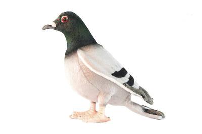 Taube 6299 Plüschtier Vogel von Hansa Creation verkauft von Lincrafts UK Est. 1993
