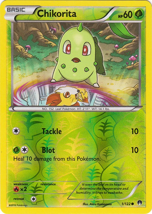 Chikorita
