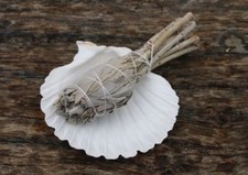 White Sage Smudge Sticks, Abalone Shells, Combo Smudge Stick Kit, Desert Sage