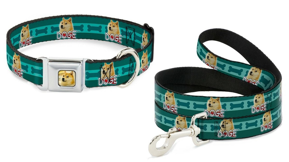 Buckle Down Seatbelt Dog Collar or Leash DOGE Dogecoin Cryptocurrency Made  USA