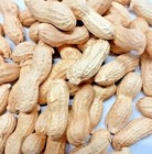 Peanuts In Shell Monkey Nuts Wild Bird Food Squirrel Feed Parrots 1kg-5kg