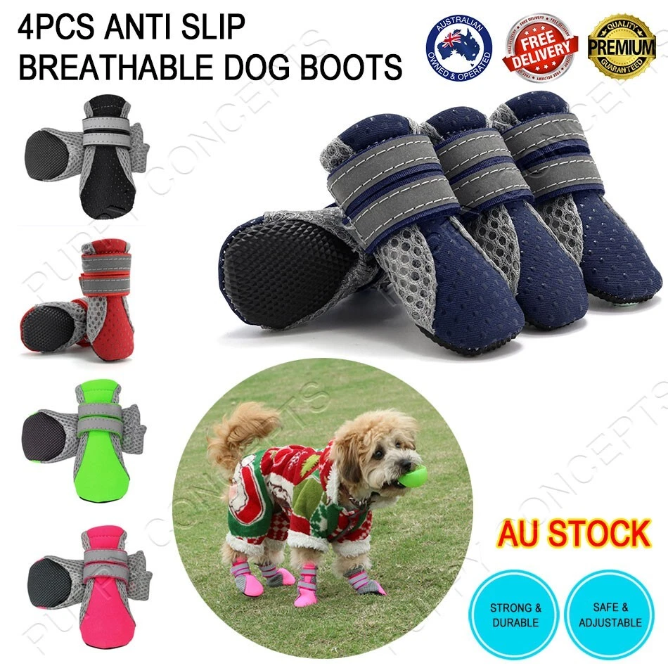 Free dog boots store