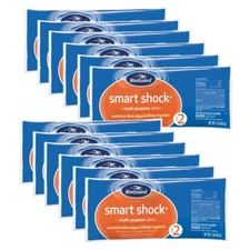 BioGuard Smart Shock - 1 lb Bags - 12 Pack