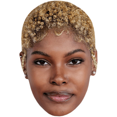 Diamond White (Blonde) Celebrity Mask, Flat Card Face, Fancy Dress Mask