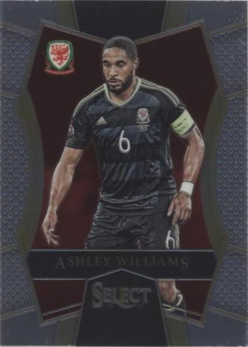 2016-17 Panini Select Ashley Williams #109 - 1 of 1