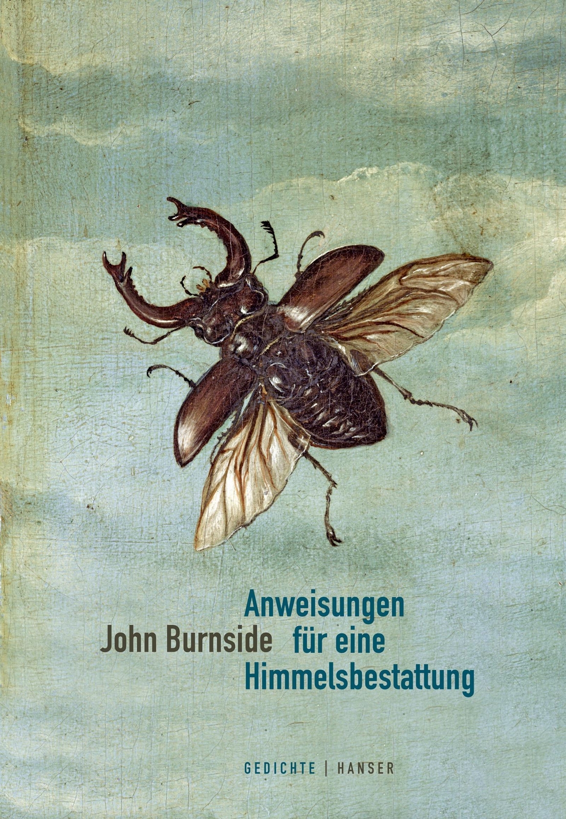 Thumbnail - Anweisungen Für Eine Himmelsbestattung John Burnside
