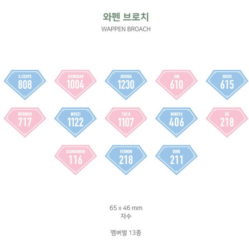 SEVENTEEN Official WAPPEN BROACH + STICKER 2019 SVT 3rd Fan Meeting Goods MD - Bild 3 von 16