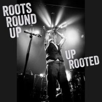 Roots Round Up - Up Rooted - Vinyl Record - G4Z