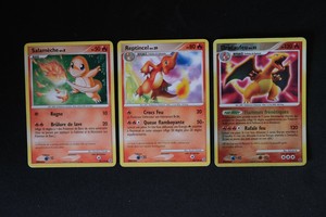 Official Usa Stockists Carte Pokemon Famille Dracaufeu Reverse Merveilles Secretes 3 132 Fr Official Usa Store Www Spitalbicaz Ro