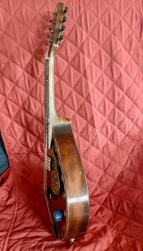 VINTAGE REGAL BLUE COMET MANDOLIN / PSYCO-BILLIE MODS / CHECK IT OUT - Picture 9 of 12