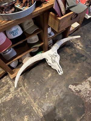 #ad #ad Painted Longhorn Cow Skull Taxidermy European Mount Western Decor Bull $165.00