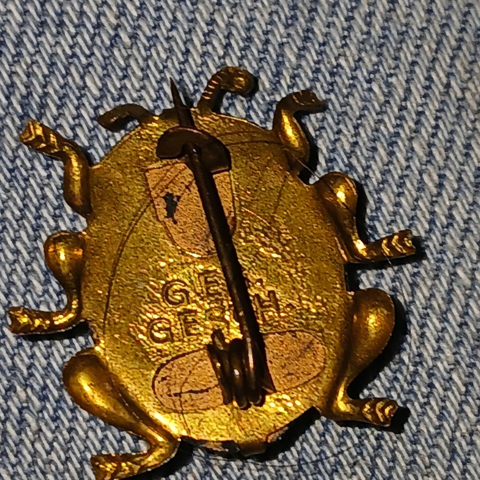 Gesch Beetle Pin Brooch Antique ges ladybird | eBay UK