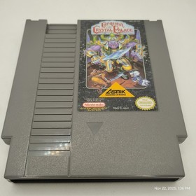 Conquest Of The Crystal Palace NES Game Manual & Sleeve Authentic Very Clean 