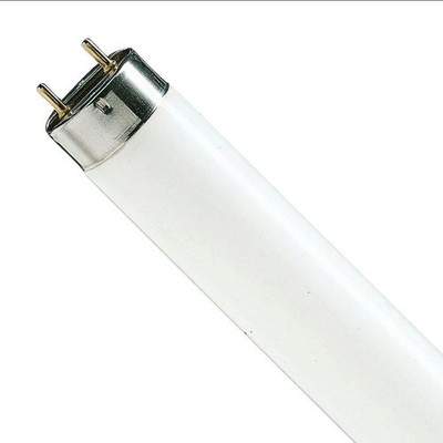 Osram Lumilux T8 97 cm L36W/840-1m Coolwhite G13 36W/20-640 Leuchtstoffröhre