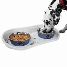 10 inch dog bowl