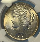 1923-P Peace Dollar NGC MS65 - Light Golden Toning