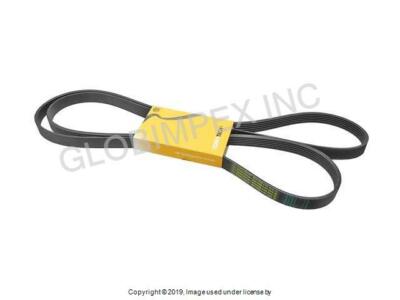 AUDI 100 90 QUATTRO CABRIOLET (1992-1994) Belt - 6K X 2260 Contitech + WARRANTY