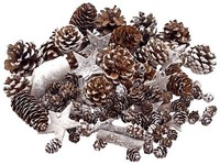 Zapfen Natur Sterne Weihnachten Deko Weiß Braun Holz Winter Basteln 300G