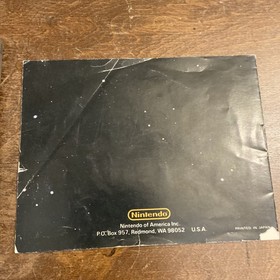 Clu Clu Land w/Manual NES Nintendo