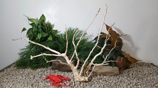 Driftwood aquarium fish  reptiles 13x19" natural sprawling spderwood root decor
