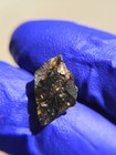 NWA 16774 Pallasite Meteorite 0.932g End Cut | Colorful Olivine Crystals | COA — photo 5