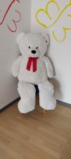Teddybär xxl 150cm