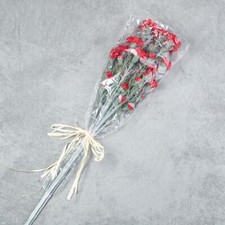 Artificial Red Carnation 27" Decorative Floral Bundle