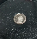2010 Hawaii Silver Dala . 999 Silver