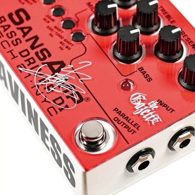 ベース TECH 21 SansAmp BASS D DI V2 RED TECH 21 SansAmp BASS DRIVER DI-HEAVINESS the GazettE REITA