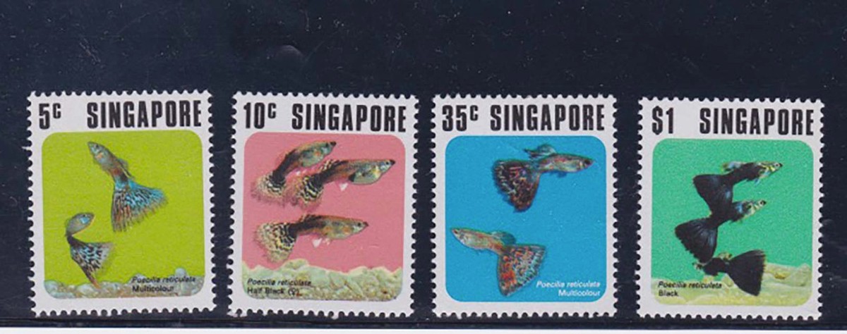 singapore 1974 Sc 206/9 set MNH l2233 | eBay