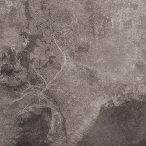 Multicast Dynamics Scandinavia (Vinyl LP) 12" Album