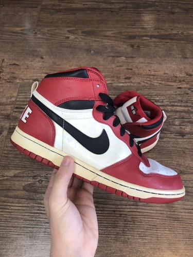 spike lee dunks