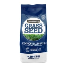 PENNINGTON GRASS SEED Kentucky Bluegrass Northern Mix, for Sun to Partial Shade