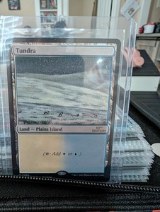 Magic The Gathering Tundra | eBay